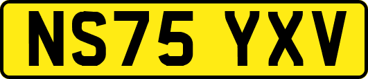 NS75YXV