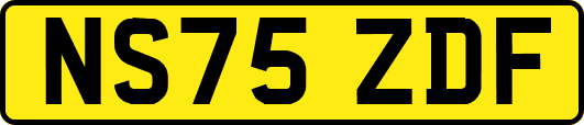NS75ZDF