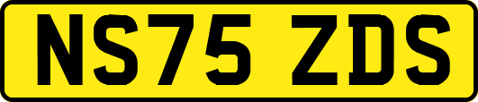 NS75ZDS