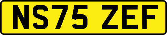 NS75ZEF