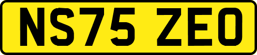 NS75ZEO