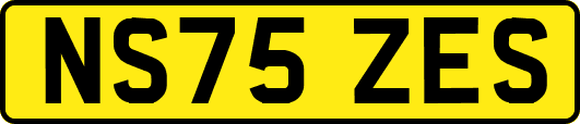 NS75ZES