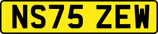 NS75ZEW