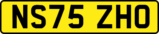 NS75ZHO