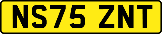 NS75ZNT