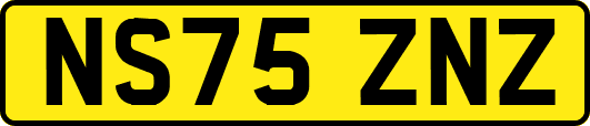 NS75ZNZ