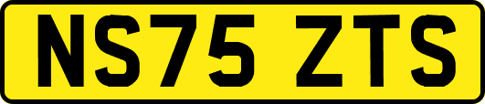 NS75ZTS