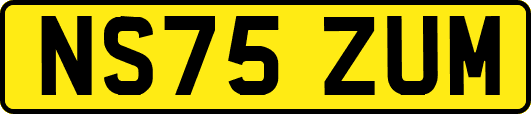 NS75ZUM