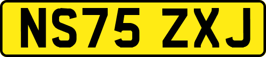 NS75ZXJ
