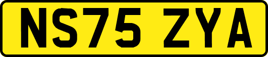 NS75ZYA
