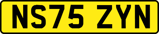 NS75ZYN