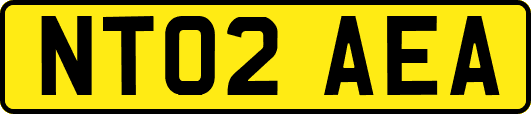 NT02AEA