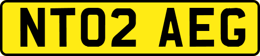 NT02AEG