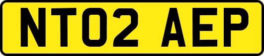 NT02AEP