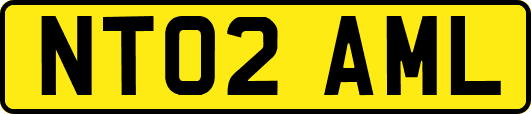 NT02AML