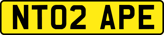 NT02APE