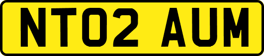 NT02AUM