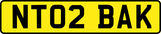 NT02BAK