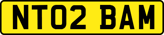 NT02BAM