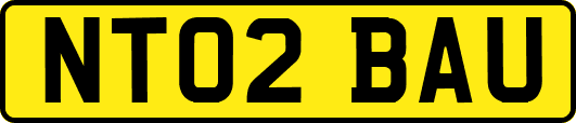 NT02BAU