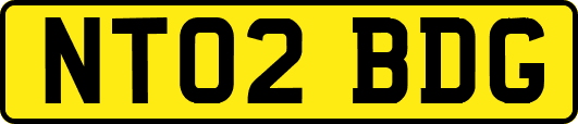 NT02BDG