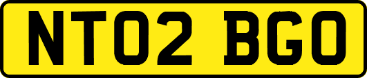 NT02BGO