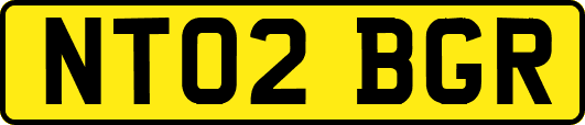 NT02BGR