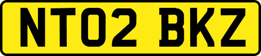 NT02BKZ