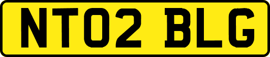 NT02BLG