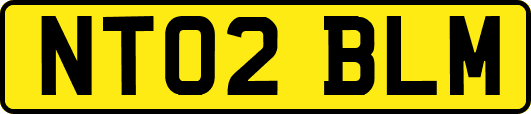NT02BLM