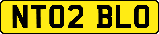 NT02BLO