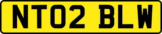 NT02BLW