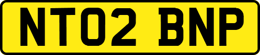 NT02BNP