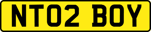 NT02BOY