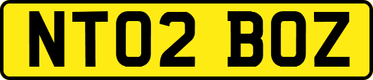 NT02BOZ