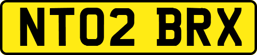 NT02BRX