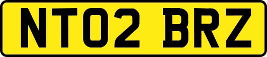 NT02BRZ