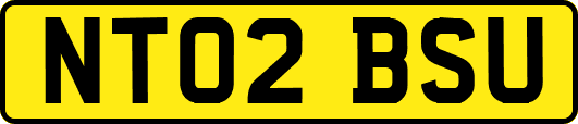 NT02BSU