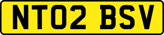 NT02BSV