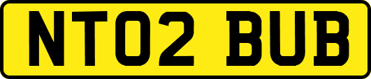 NT02BUB