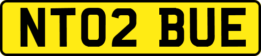 NT02BUE