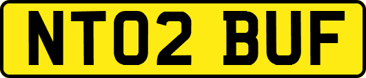 NT02BUF