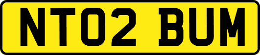 NT02BUM