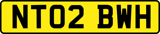 NT02BWH