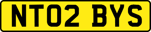 NT02BYS