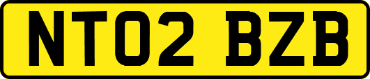 NT02BZB