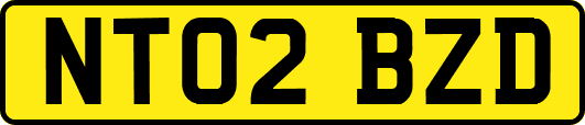 NT02BZD