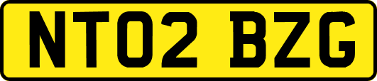 NT02BZG