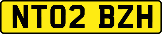 NT02BZH