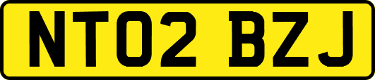 NT02BZJ